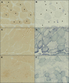 Figure 6
