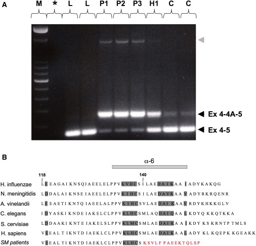 Figure 4