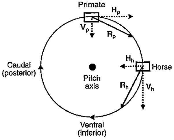 Fig. 10