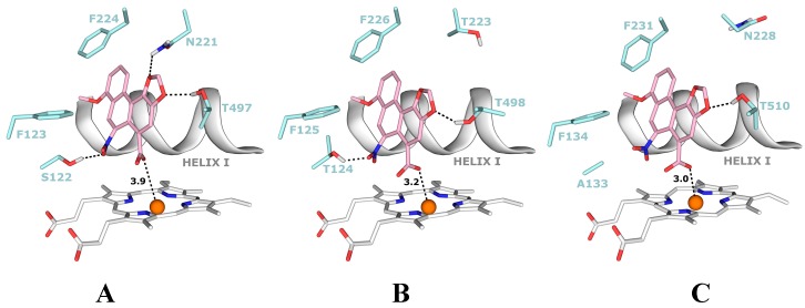 Figure 7