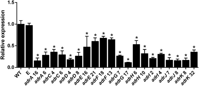 FIGURE 3