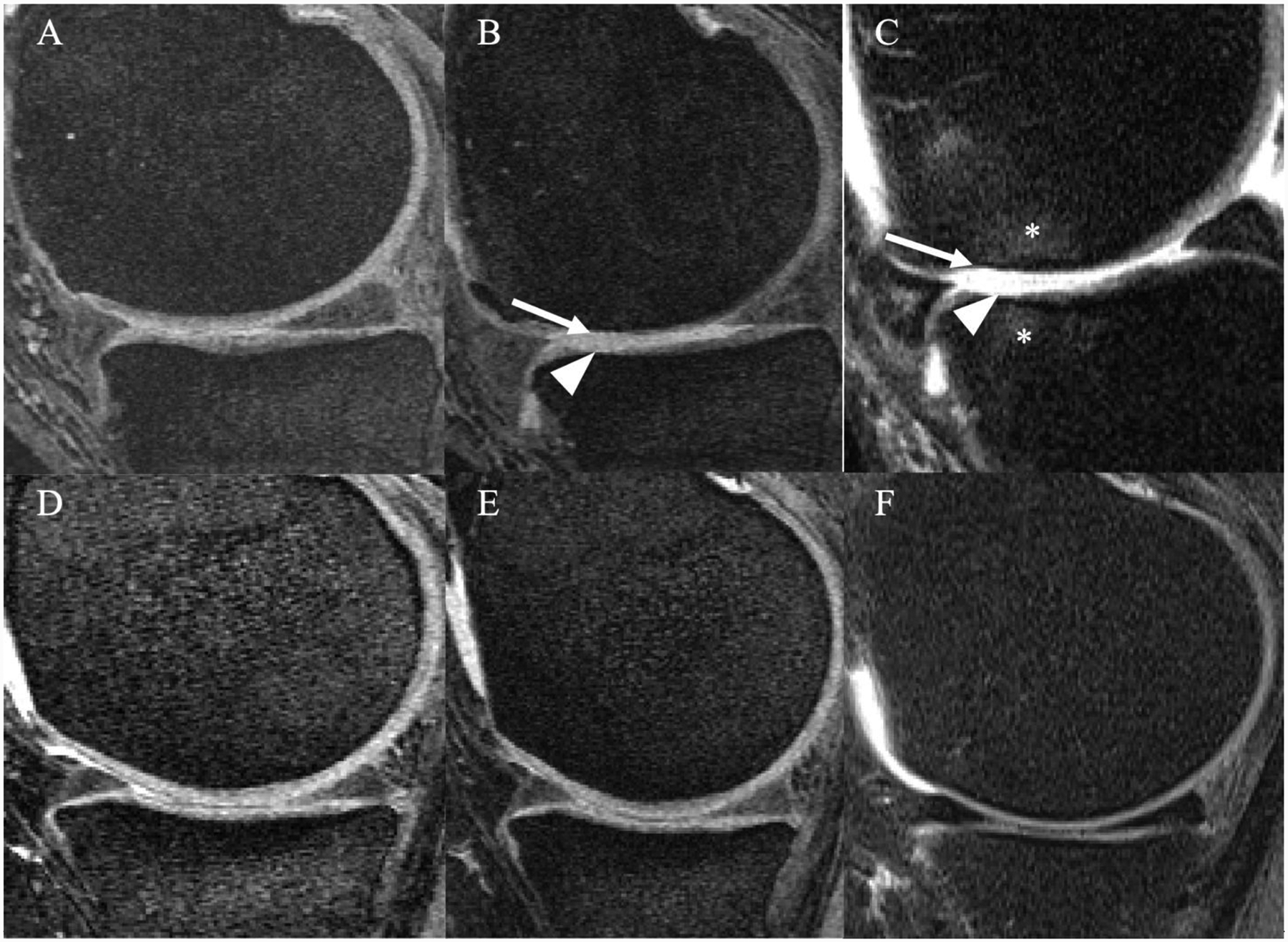 Figure 4: