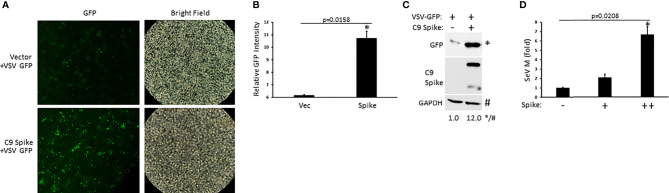 Figure 2