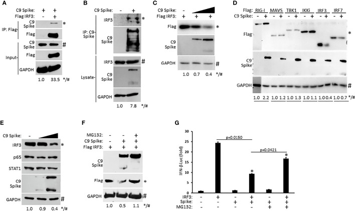 Figure 4