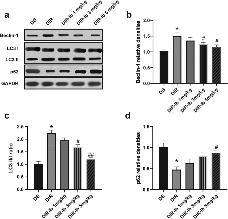 Figure 6.