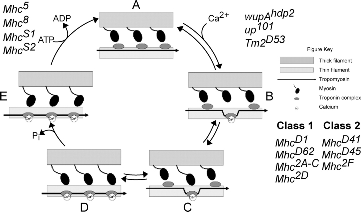 Figure 6.