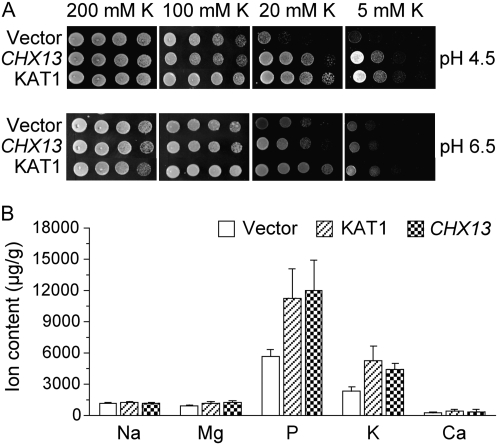 Figure 1.