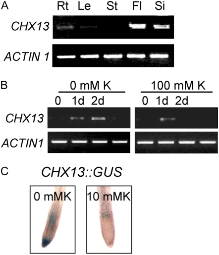 Figure 4.