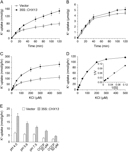 Figure 7.