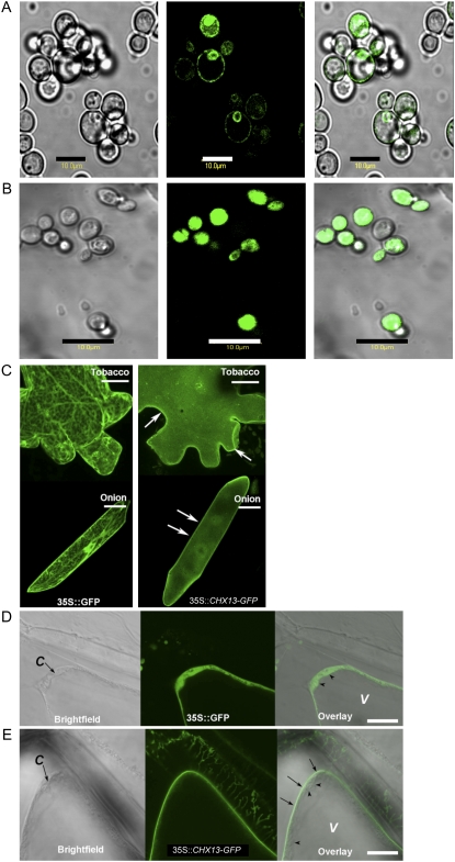 Figure 3.