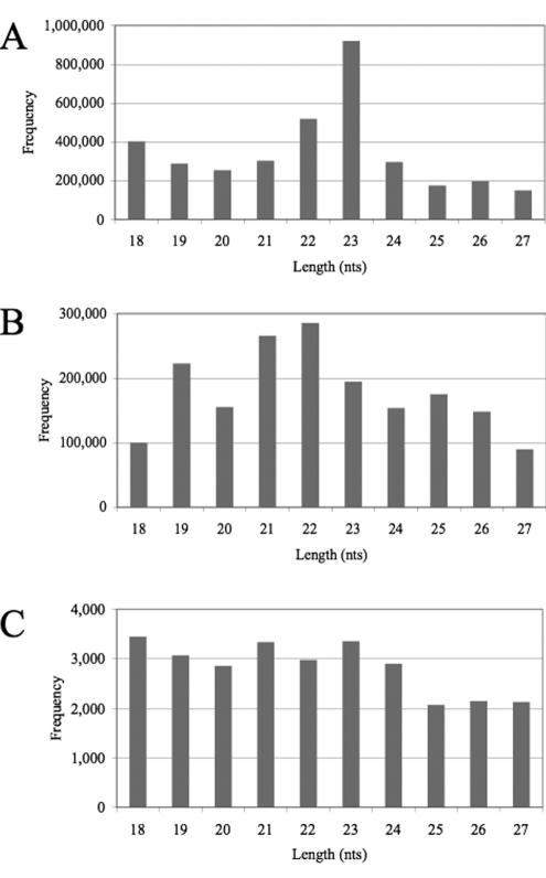 FIG 2 