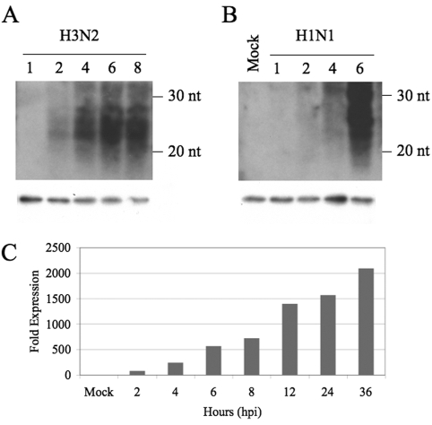 FIG 4 