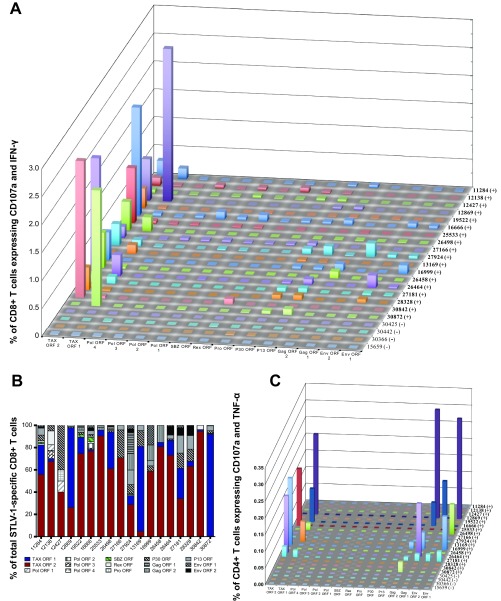 FIG 1