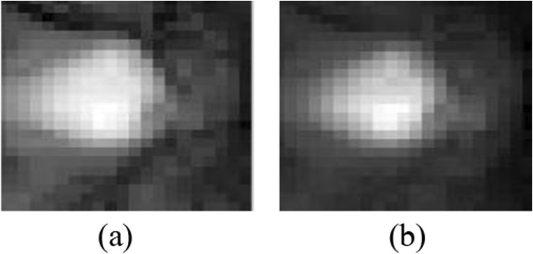 Fig. 5
