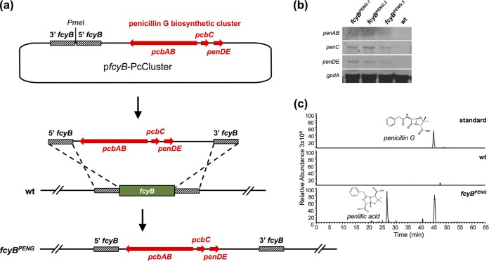 FIG 4