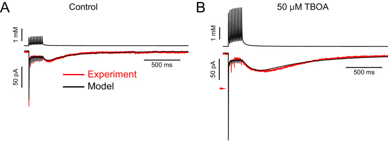 Figure 1—figure supplement 3.