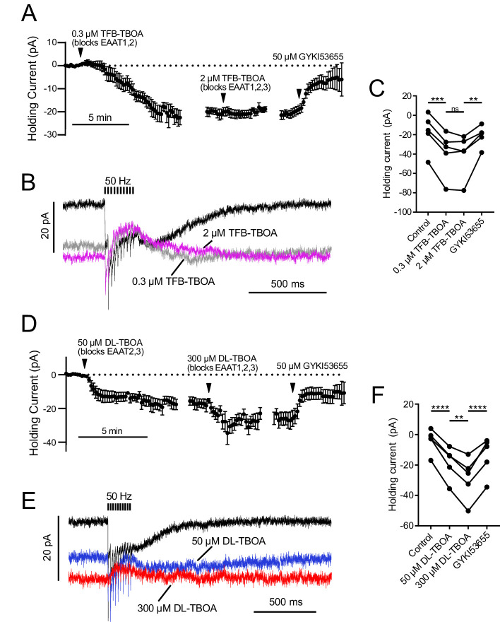 Figure 1—figure supplement 1.