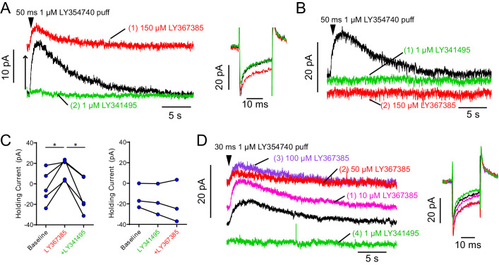 Figure 2—figure supplement 1.