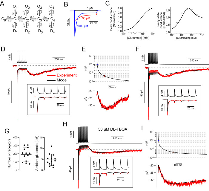 Figure 1—figure supplement 2.