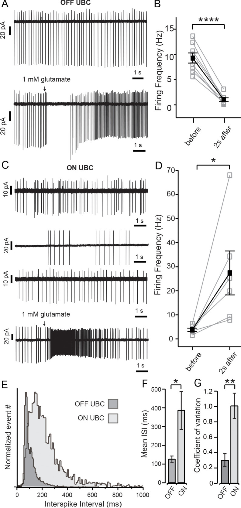 Figure 2—figure supplement 2.