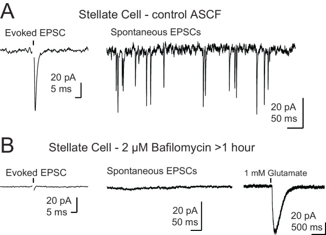 Figure 6—figure supplement 1.