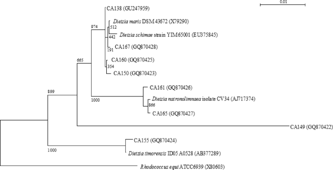 FIG. 1.