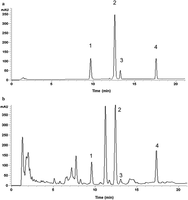 Fig. 1