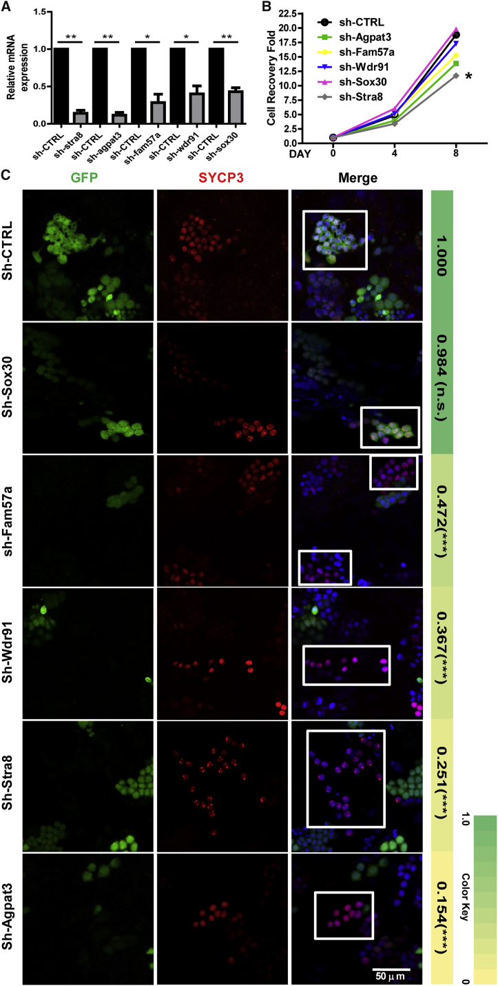 Figure 7