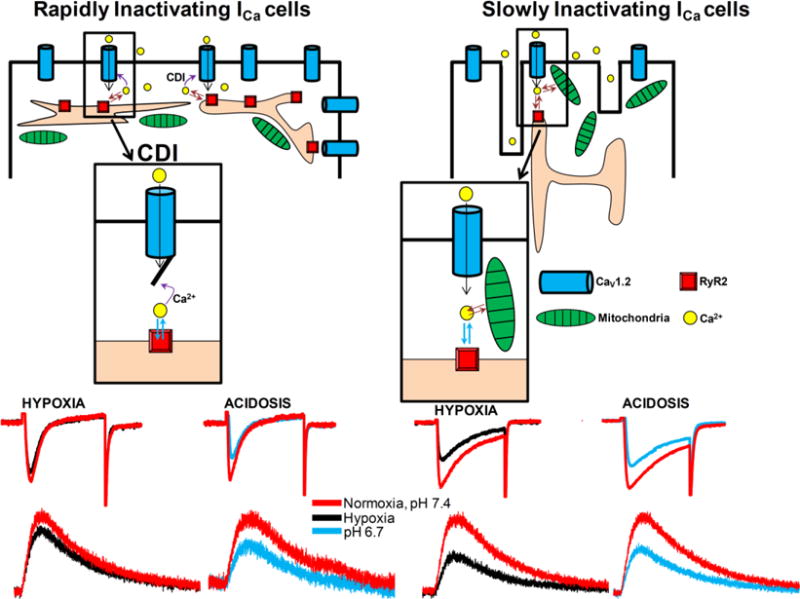 Schematic 1