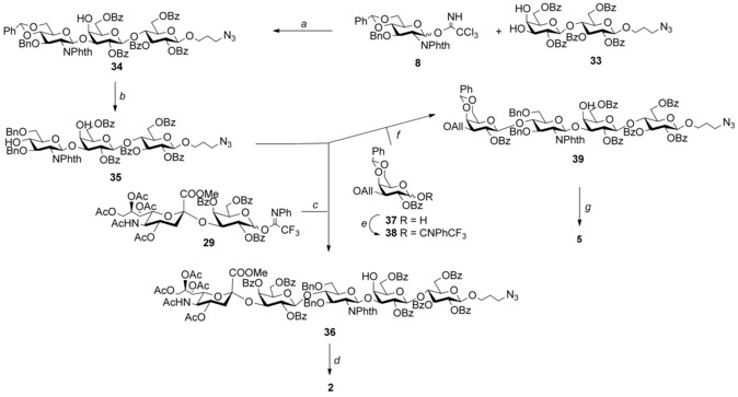 Scheme 3