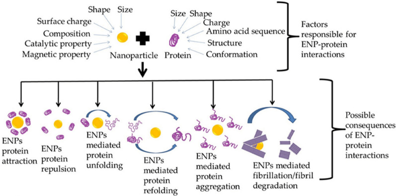 Fig. 10