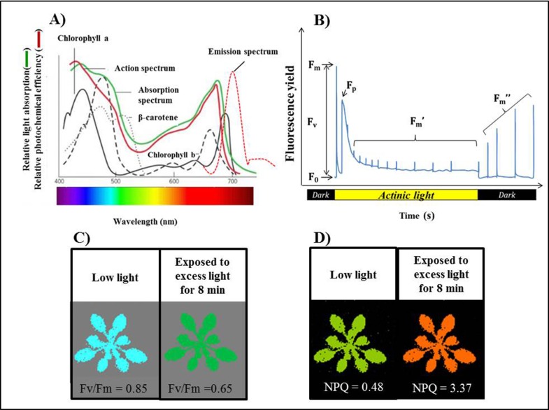 Figure 2.