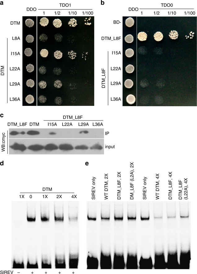 Fig. 5