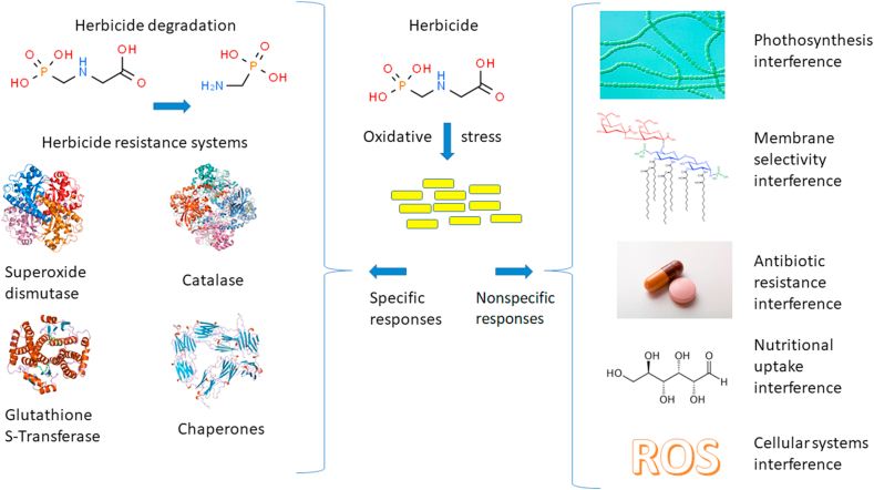 Figure 5