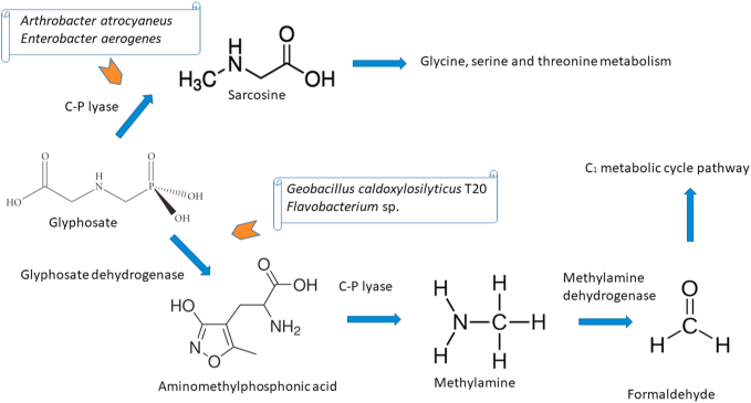 Figure 3