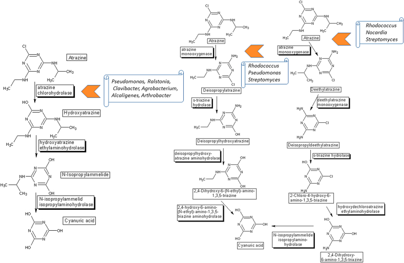 Figure 4