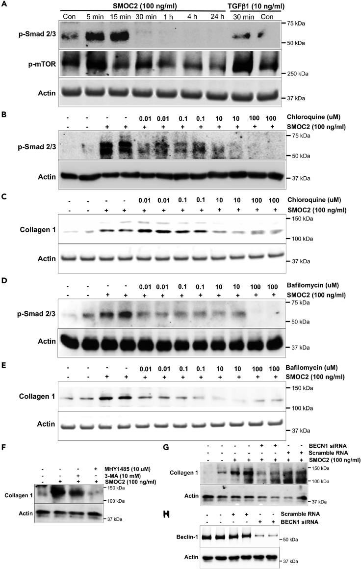 Figure 5