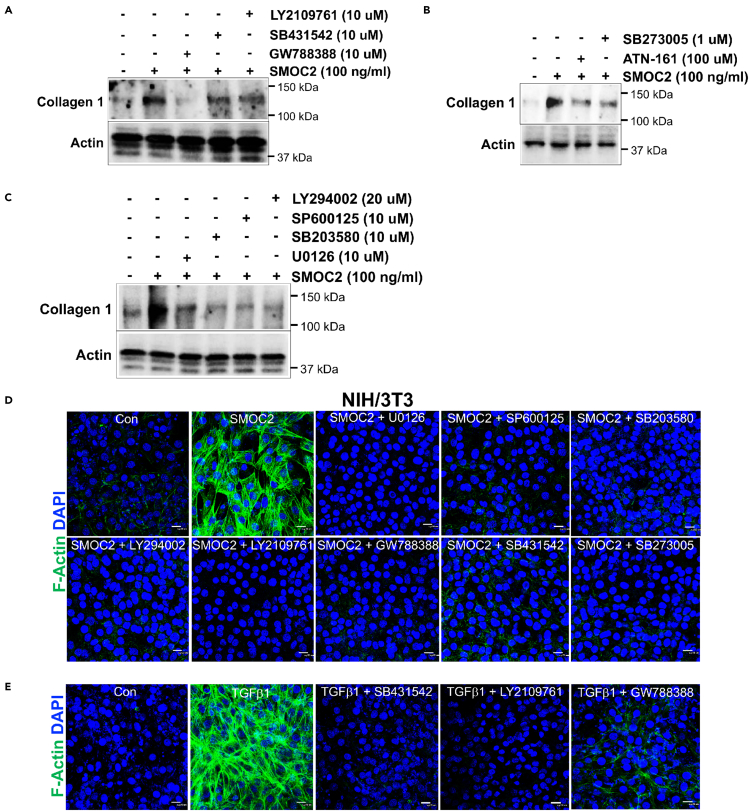 Figure 6