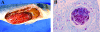 FIG. 1.