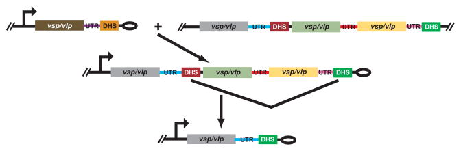 Figure 9