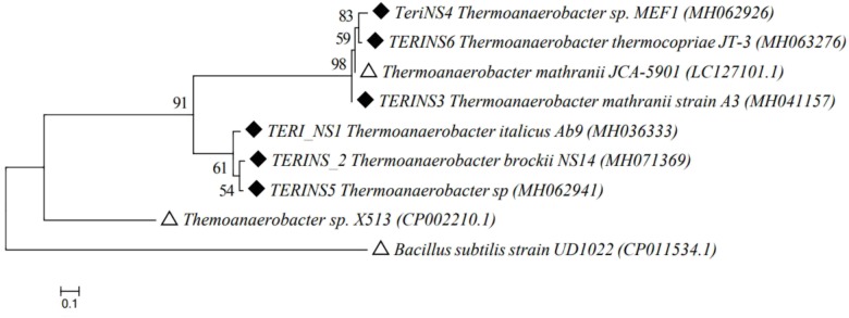 FIGURE 4