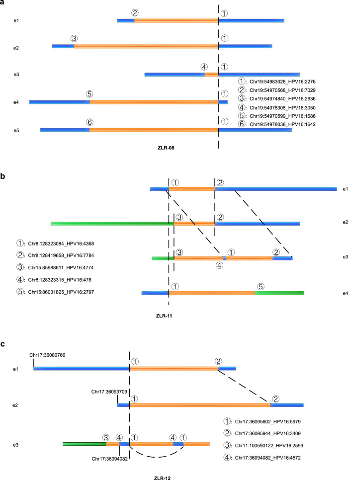 Fig. 4