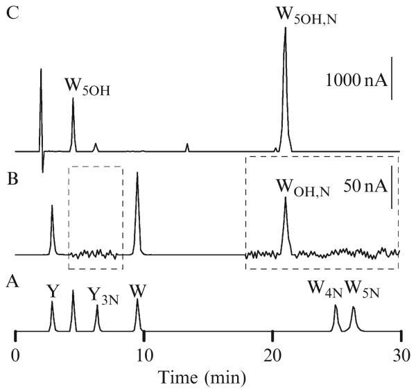 Figure 19.2