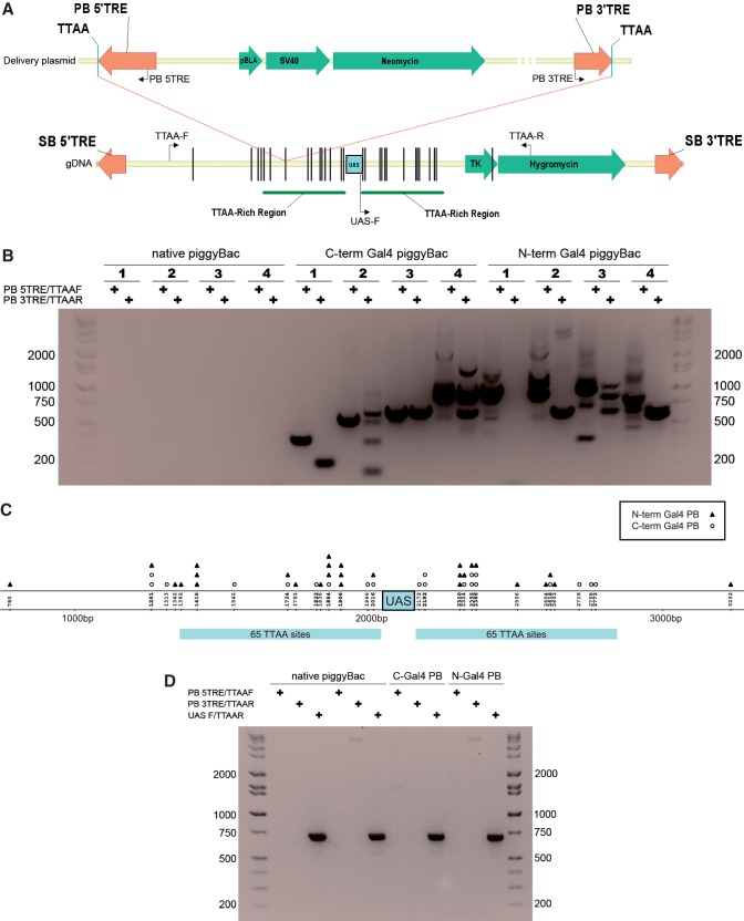 Figure 2.