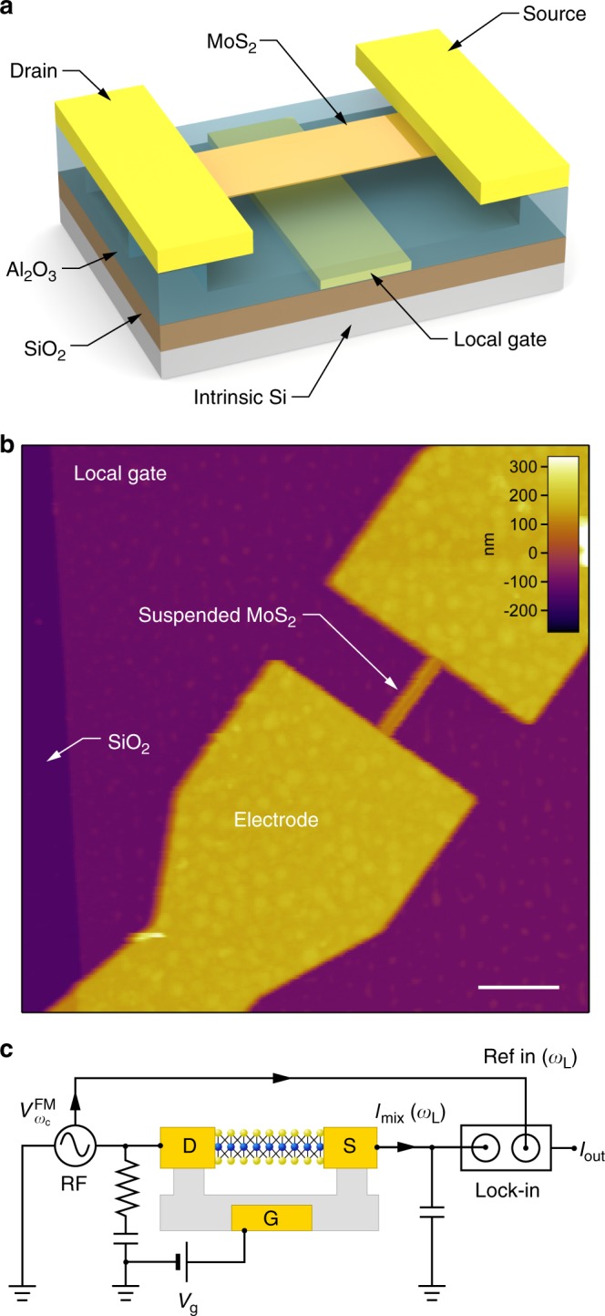 Fig. 1