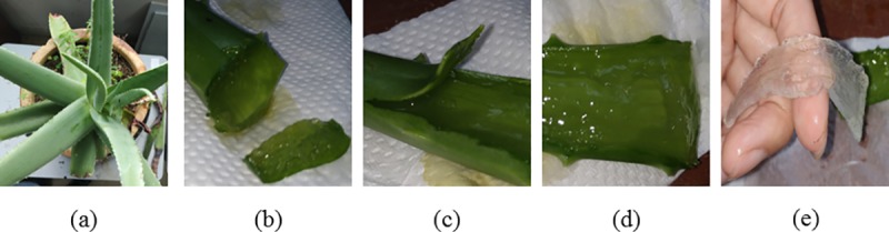Fig 1