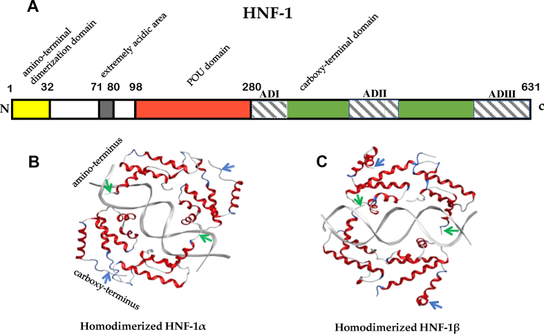 Figure 1