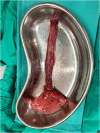Fig. 5