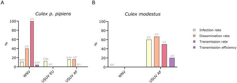 Fig 4