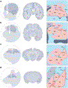 Fig. 2 |